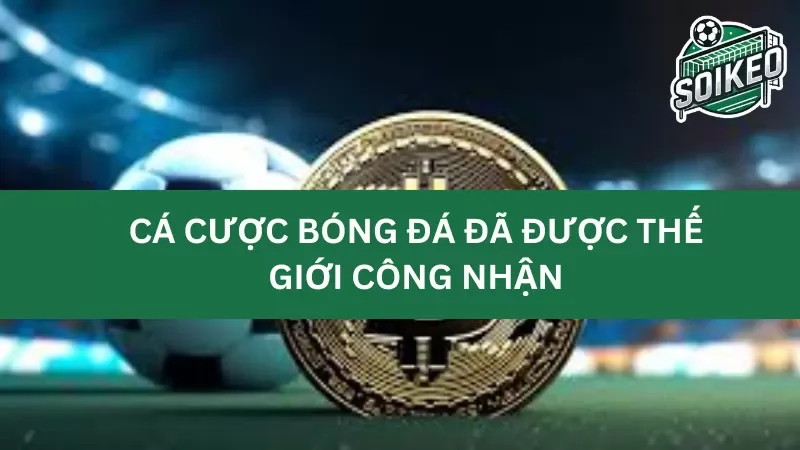 Các quy định và luật lệ về cá cược bóng đá