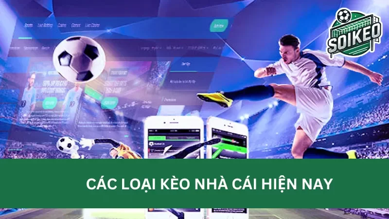 soi kèo nhà cái với các tỷ lệ kèo bóng đá phổ biến