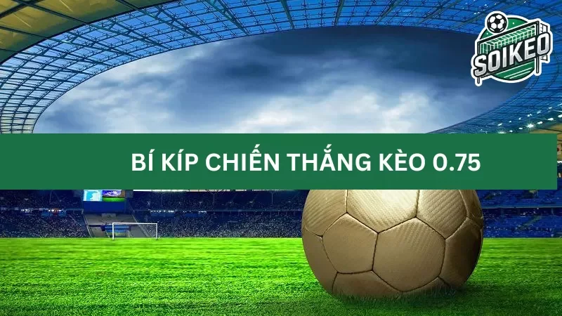 Cách quản lý bản thân khi chơi kèo 0.75 bàn