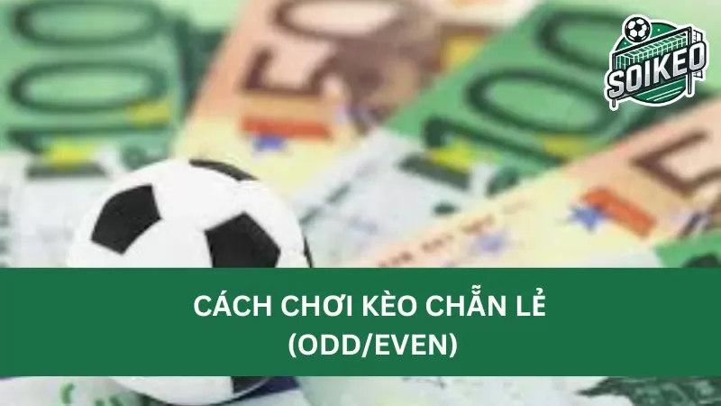 tips soi kèo chẵn lẻ hiệu quả dành cho các tân thủ