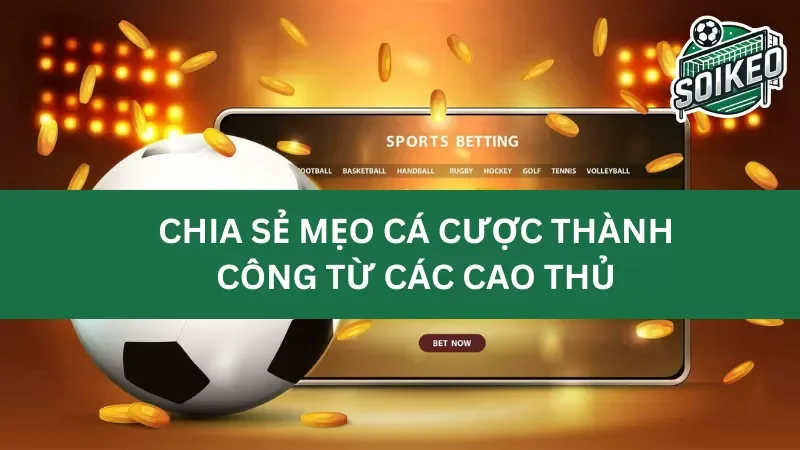 các câu chuyện thành công và thất bại trong cá cược bóng đá