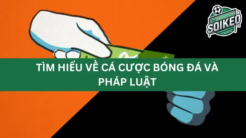 Tình trạng pháp lý của cá cược bóng đá tại các quốc gia