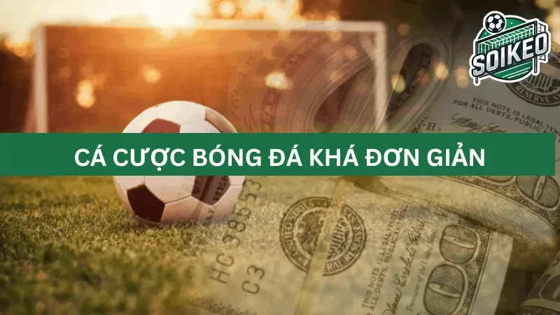 cách đọc và hiểu các tỷ lệ kèo