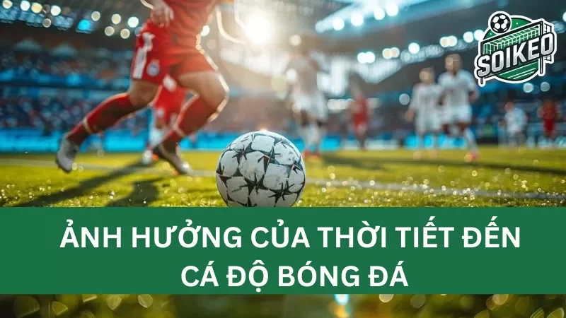 cách điều kiện thời tiết ảnh hưởng đến kết quả trận đấu và cách đặt cược