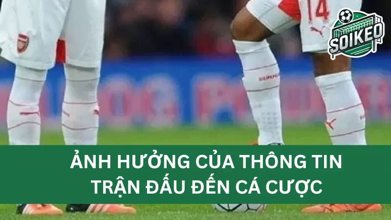 cách tích hợp thông tin trước trận đấu vào chiến lược cá cược