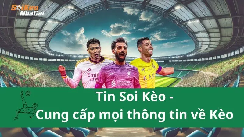 Tin Soi Kèo - Tự Tin Dự Đoán, Thắng Kèo Trong Tay